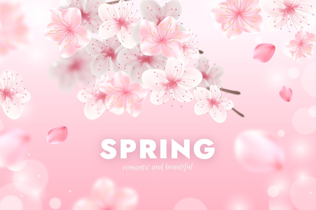 Top Spots to Experience Cherry Blossoms in Washington DC