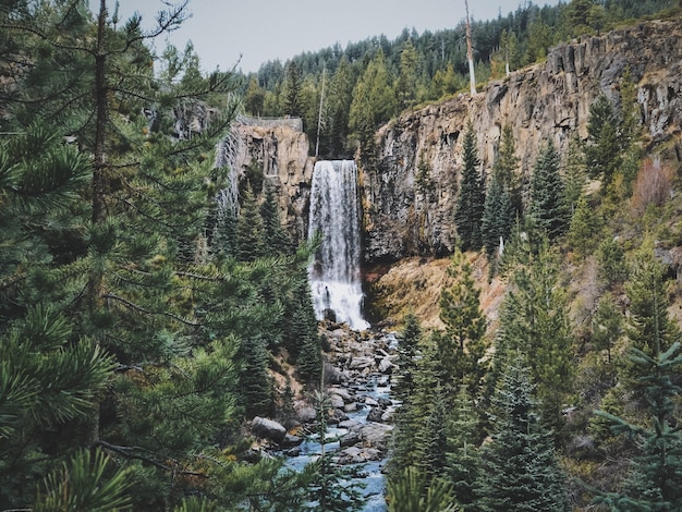 Your Ultimate Guide to the Alberta Falls Hike in Rocky Mountain National Park